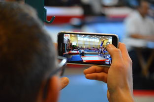 华体会官网注册-中国篮球联赛市场细分与营销研究，篮球联赛介绍