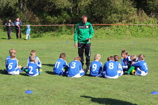 华体会体育在线-国足对不同战术体系适应能力评估，国足体能与技术分析